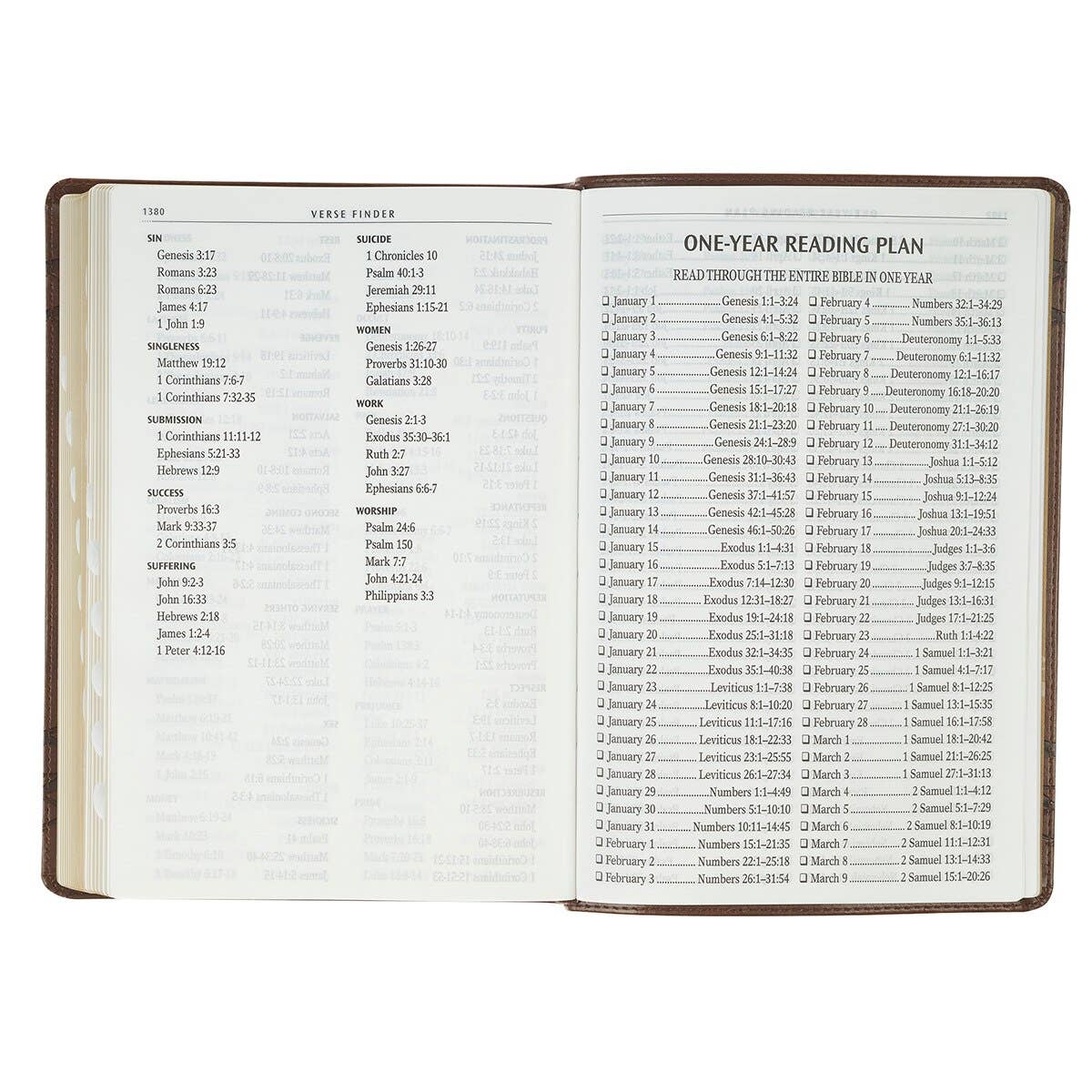Brown Crown of Thorns Giant Print Full-Size King James Version Bible with Thumb Index