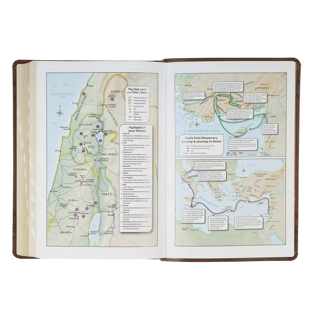Brown Crown of Thorns Giant Print Full-Size King James Version Bible with Thumb Index