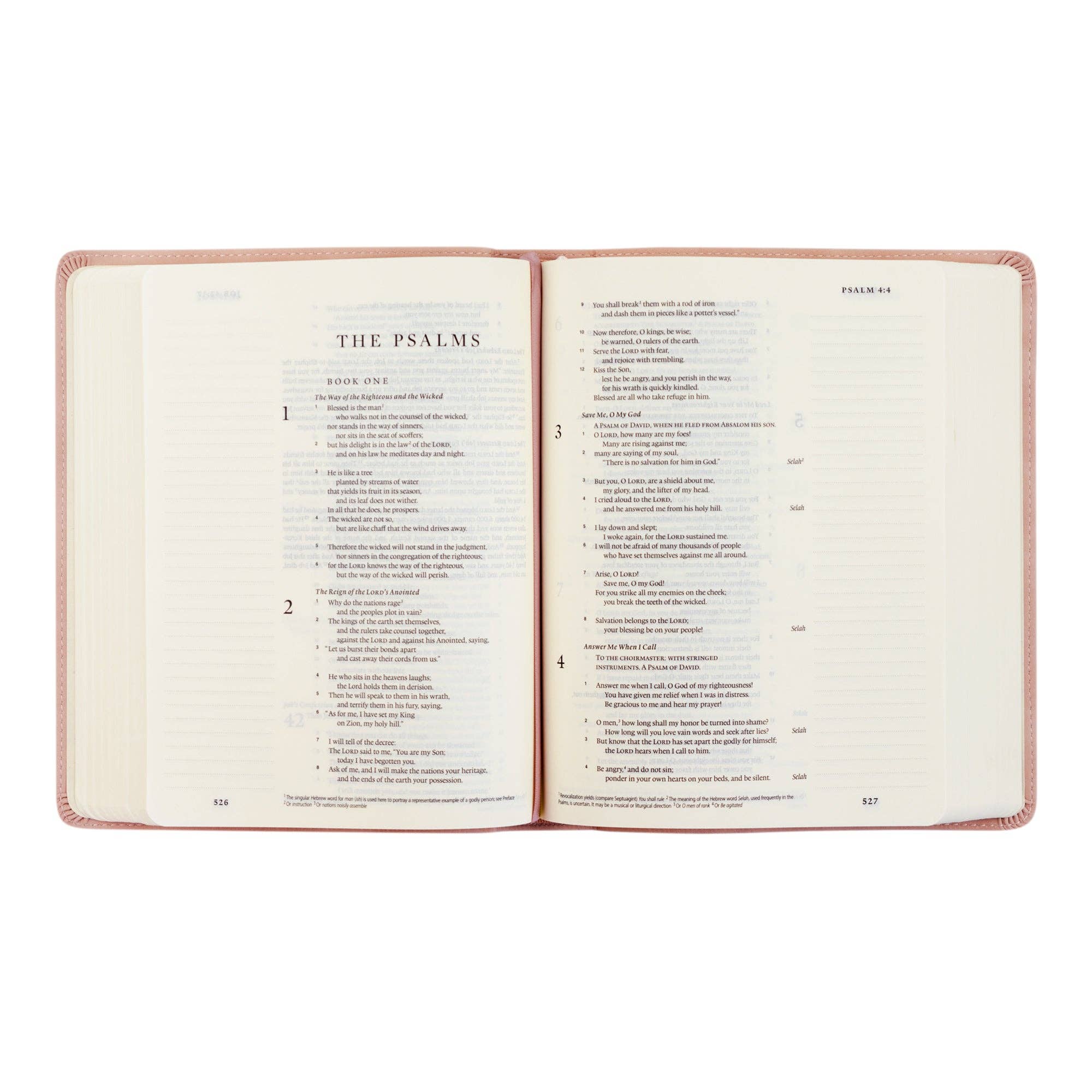 ESV Journaling Bible: Shiloh Theme